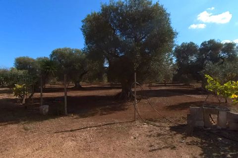 Landejendom i Ostuni, Brindisi, Ostuni - € 87.000 | Ref: 149 - foto 10